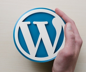 Wordpress instalacija